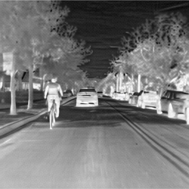 Case 1 Image