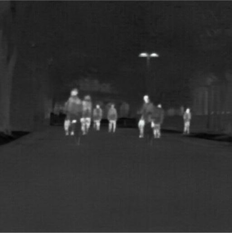 Case 1 Image