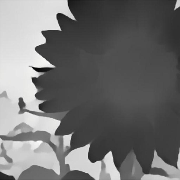 Case 1 Image